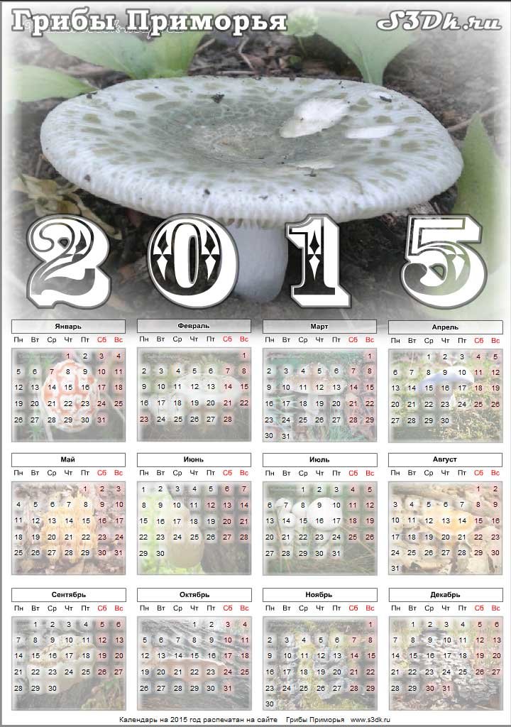 Грибной календарь на 2015 год.