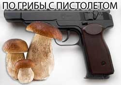 Грибы по Приморски или Зачем грибнику пистолет.