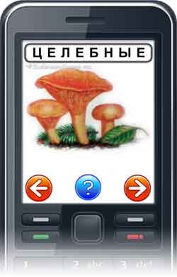 Определитель грибов для сотового телефона.