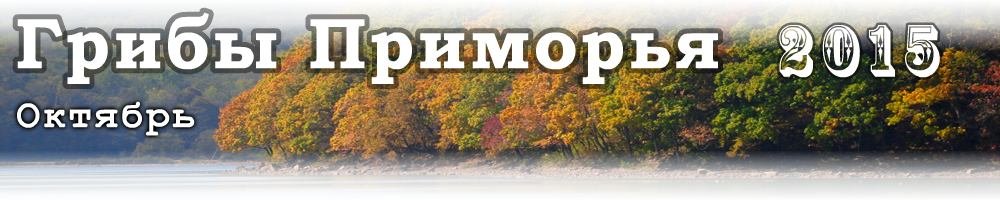 Осенние грибы Приморья - Октябрь 2015 года.