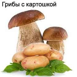 Картошка с грибами. Рецепт.